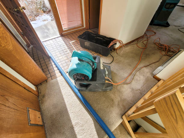 Best Residential water damage restoration  in Mount Hope, NJ