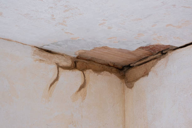 Best 24/7 water damage repair  in Mount Hope, NJ
