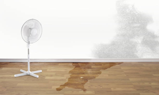 Best Flooded house restoration  in Mount Hope, NJ