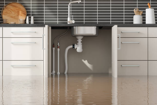Best 24-hour water damage restoration  in Mount Hope, NJ